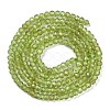 Natural Peridot Beads Strands G-H071-A01-01-5