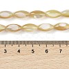 Natural Trochus Shell Beads Strands BSHE-G036-06A-4