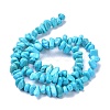 Natural Magnesite Beads Strands TURQ-P001-02A-02-2