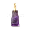 Natural Amethyst Pendants G-C045-01B-G-3