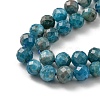 Natural Apatite Beads Strands G-G927-32-6MM-3
