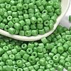 Baking Paint Pearlized Glass Seed Beads SEED-C001-04A-16-1