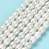 Natural Cultured Freshwater Pearl Beads Strands PEAR-E016-132-2