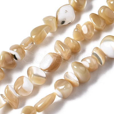 Natural Trochid Shell/Trochus Shell Beads Strands SSHEL-N034-78-B01-1