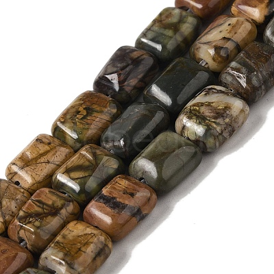 Natural Picasso Jasper Beads Strands G-Q161-E01-01-1