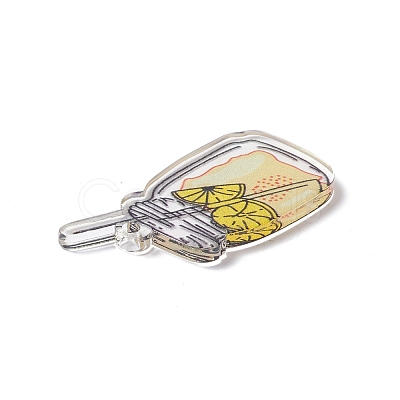 Transparent Printed Acrylic Pendants TACR-G042-01D-1