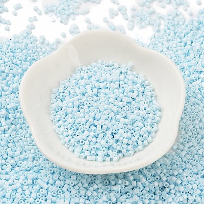 Baking Paint Glass Seed Beads X-SEED-S042-05B-64-1