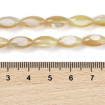 Natural Trochus Shell Beads Strands BSHE-G036-06A-1