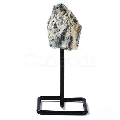 Natural Tree Agate Display Decorations G-N0236-040A-16-1