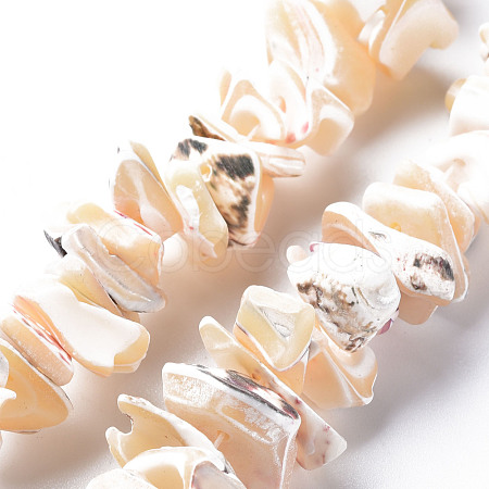 Natural Trochid Shell/Trochus Shell Bead Strands SSHEL-N034-105-B01-1