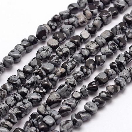 Natural Snowflake Obsidian Beads Strands G-F465-11-1
