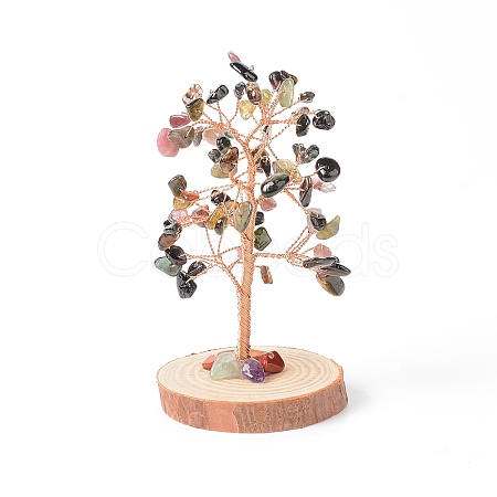 Natural Tourmaline Chips with Brass Wrapped Wire Money Tree on Wood Base Display Decorations DJEW-B007-05H-1