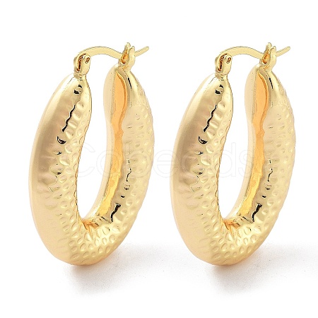 Brass Hoop Earrings EJEW-H301-07G-1