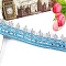 Polyester Ribbon, Clothing Ornament, Curtain Decoration, Deep Sky Blue, 1 inch(25mm), about 18Yard/pc