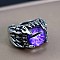 Dragon Eye Men's Fashion Ring Zinc Alloy Hip-hop Ring, Purple, Antique Silver, show in picture