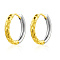 Stainless Steel Fashionable Ring Women's Earrings, Golden & Silver