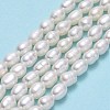 Natural Cultured Freshwater Pearl Beads Strands PEAR-J006-12A-2