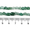 Natural Green Aventurine Beads Strands G-P497-01B-20-5