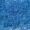 6/0 Transparent Glass Seed Beads SEED-F003-03A-02-3