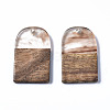 Transparent Resin & Walnut Wood Pendants RESI-T035-32B-2