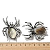 Dual-use Items Alloy Pave Dyed Shell Spider Brooch JEWB-C026-04A-AS-3