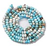 Natural Howlite Beads Strands G-H025-03B-05-3