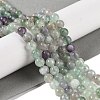 Natural Fluorite Beads Strands G-P530-B04-02-2