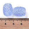 Transparent Resin European Jelly Colored Beads RESI-B025-01A-05-3