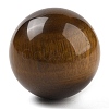 Natural Tiger Eye Sphere Beads G-I367-07R-1