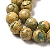Natural Verdite Stone Beads Strands G-P515-A01-01-3