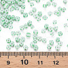 8/0 Opaque Glass Seed Beads SEED-T006-01B-D02-5