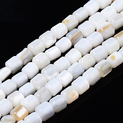 Natural Freshwater Shell Beads Strands SHEL-N034-29B-01-1