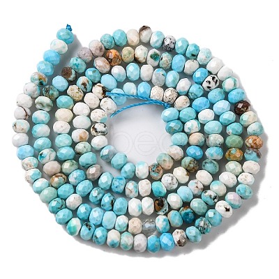 Natural Howlite Beads Strands G-H025-03B-05-1