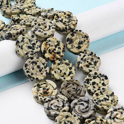 Natural Dalmatian Jasper Beads Strands G-B065-B14-1