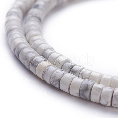 Natural Howlite Beads Strands G-H230-38-1