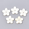 Natural Freshwater Shell Beads X-SHEL-S274-09-1