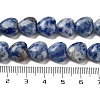 Natural Blue Spot Jasper Beads Strands G-B022-26C-5