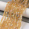 Transparent Glass Beads Strands EGLA-A044-T8mm-MB23-2