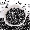 Glass Seed Beads SEED-A032-06P-2