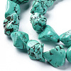 Natural Magnesite Beads Strands TURQ-G152-D01-3