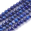 Natural Lapis Lazuli Beads Strands G-P430-07-A-2