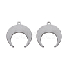 Tarnish Resistant 304 Stainless Steel Pendants X-STAS-N092-102-1