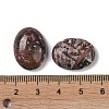 Natural Leopard Skin Jasper Cabochons G-B080-01A-10-3