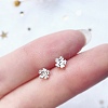 Alloy Earrings for Women FS-WG98937-01-1