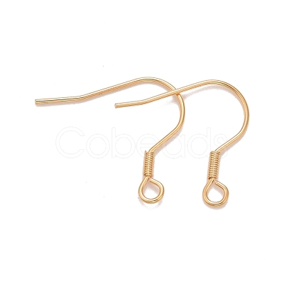 1 Inch 304 Stainless Steel Earring Hooks – beadsnfashion