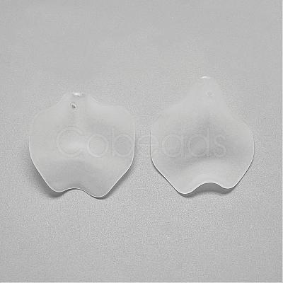 Transparent Acrylic Pendants FACR-S031-26mm-SB518-1