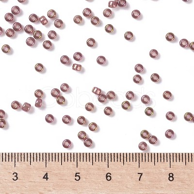 MIYUKI Round Rocailles Beads X-SEED-G008-RR0301-1