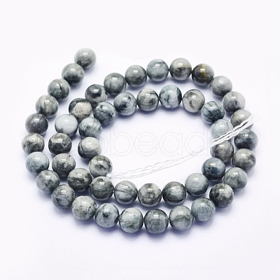 Natural Hawk's Eye Beads Strands G-O166-09-6mm-1