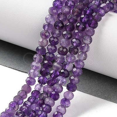 Natural Amethyst Beads Strands G-N342-24-1