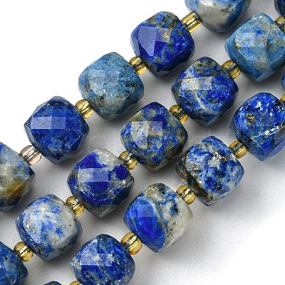 Natural Lapis Lazuli Beads Strands G-Q010-A03-01-1